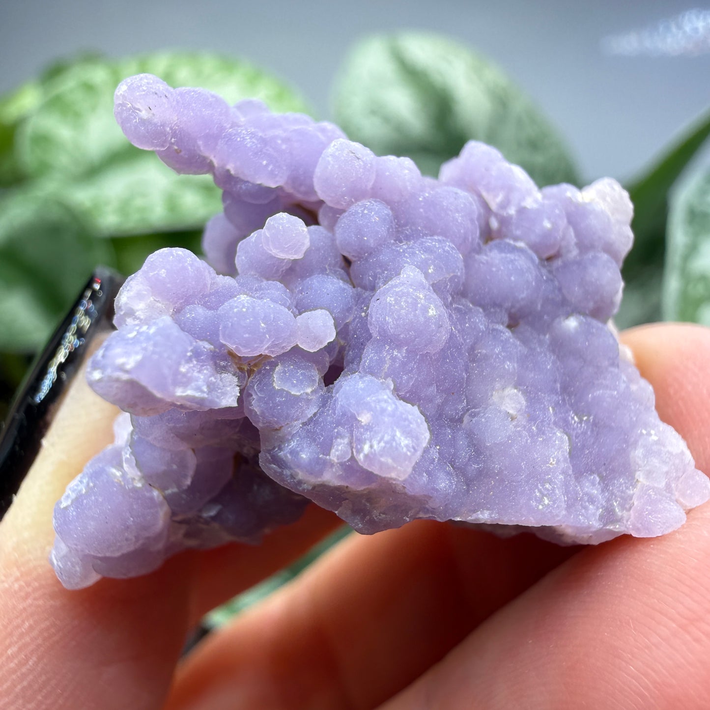 Grape Agate (Quartz var. Amethyst)- Mamuju Regency, West Sulawesi Province, Indonesia