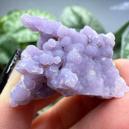 Grape Agate (Quartz var. Amethyst)- Mamuju Regency, West Sulawesi Province, Indonesia