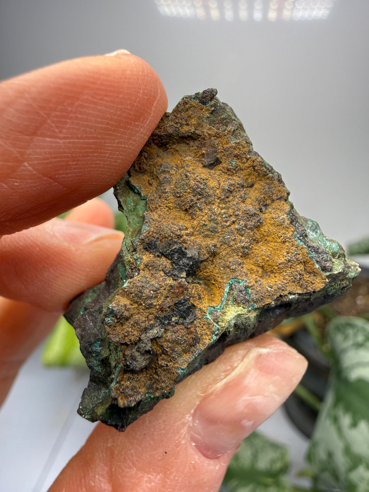 Cuprite, Malachite- Butte, Silver Bow County, Montana, USA