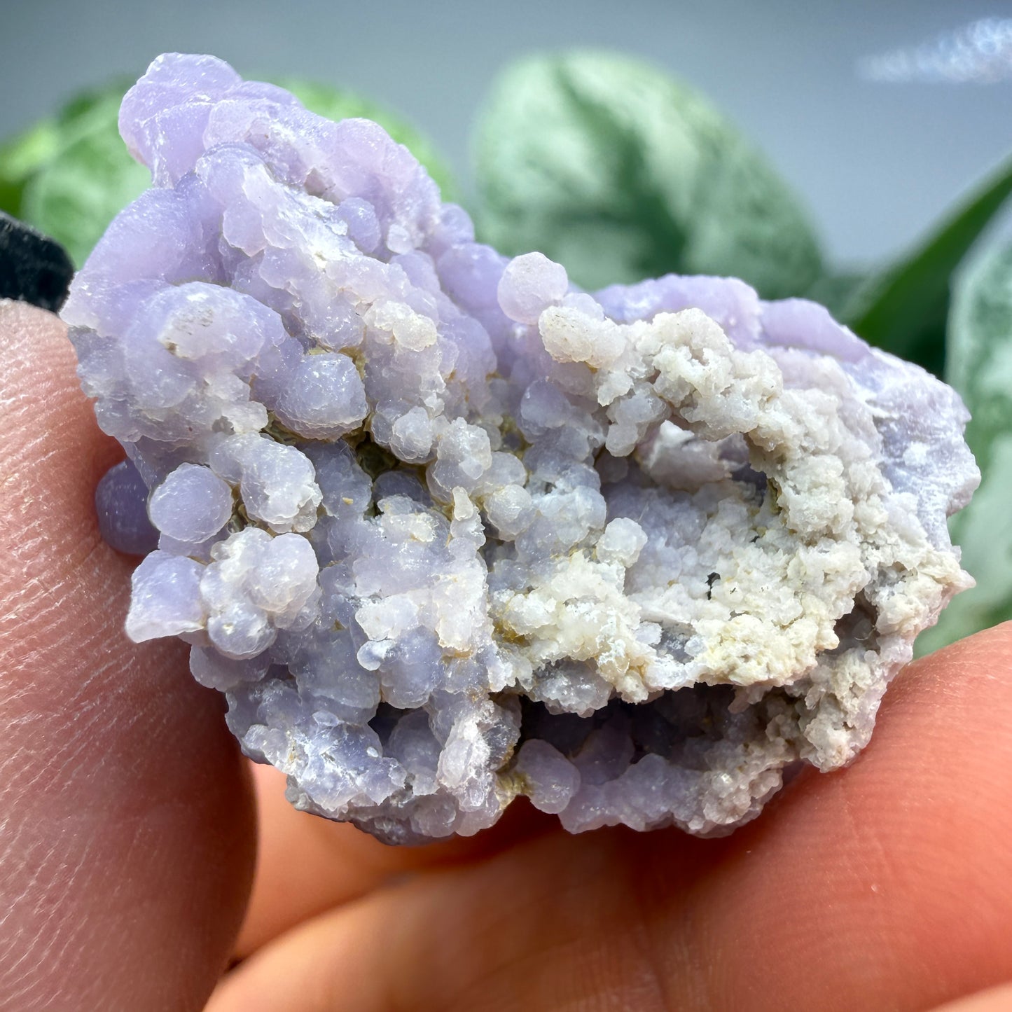 Grape Agate (Quartz var. Amethyst)- Mamuju Regency, West Sulawesi Province, Indonesia
