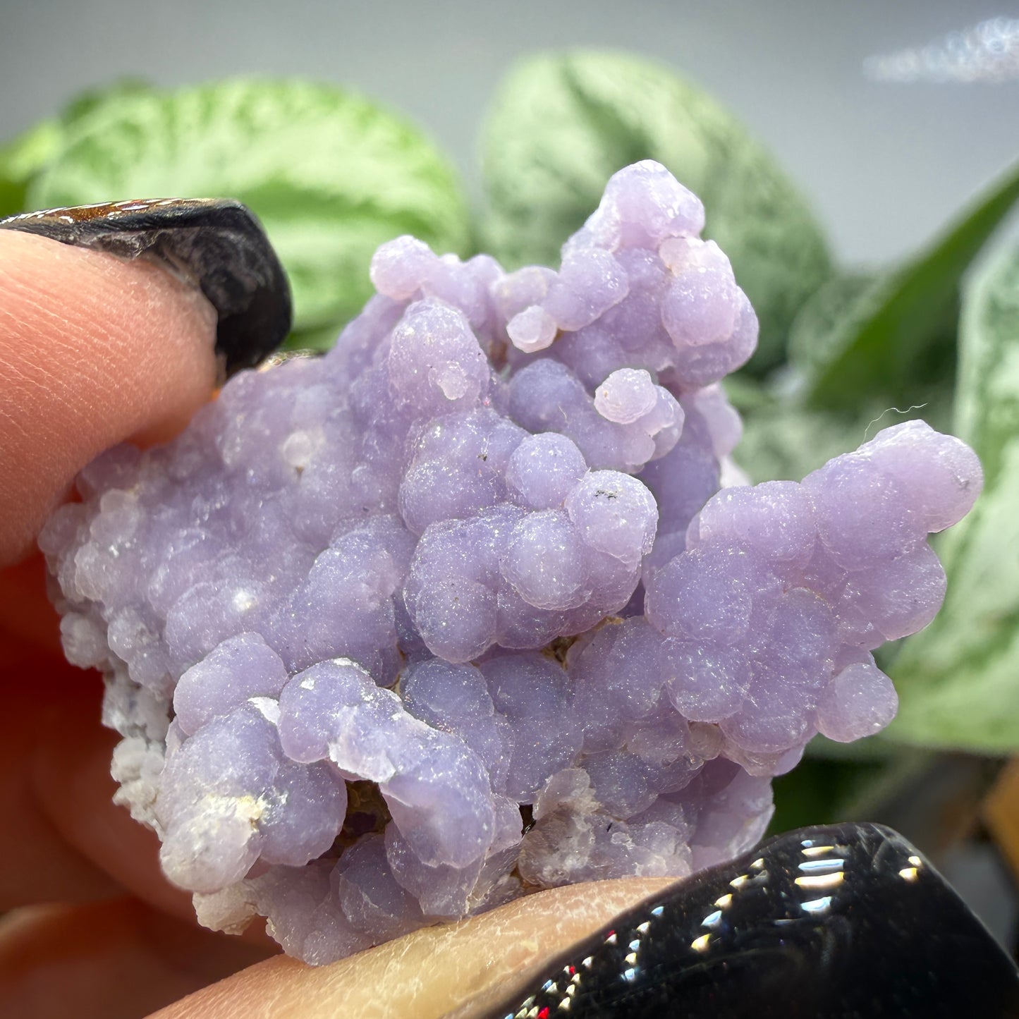 Grape Agate (Quartz var. Amethyst)- Mamuju Regency, West Sulawesi Province, Indonesia