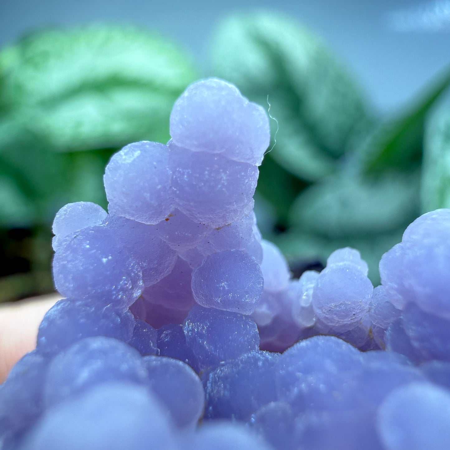 Grape Agate (Quartz var. Amethyst)- Mamuju Regency, West Sulawesi Province, Indonesia