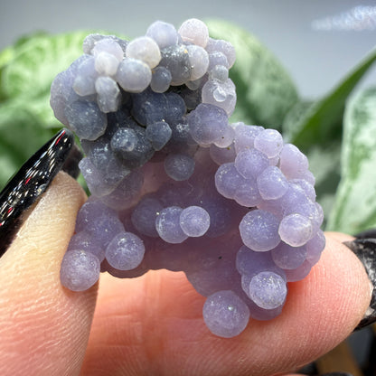 Grape Agate (Quartz var. Amethyst)- Mamuju Regency, West Sulawesi Province, Indonesia