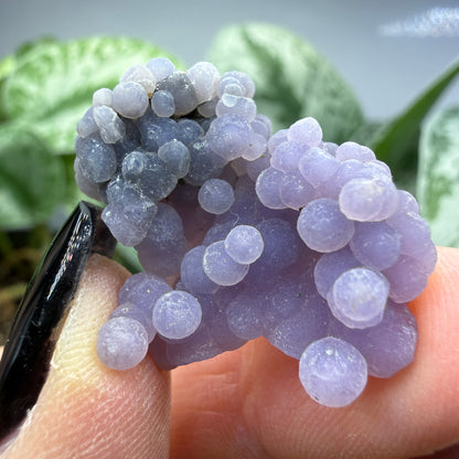 Grape Agate (Quartz var. Amethyst)- Mamuju Regency, West Sulawesi Province, Indonesia