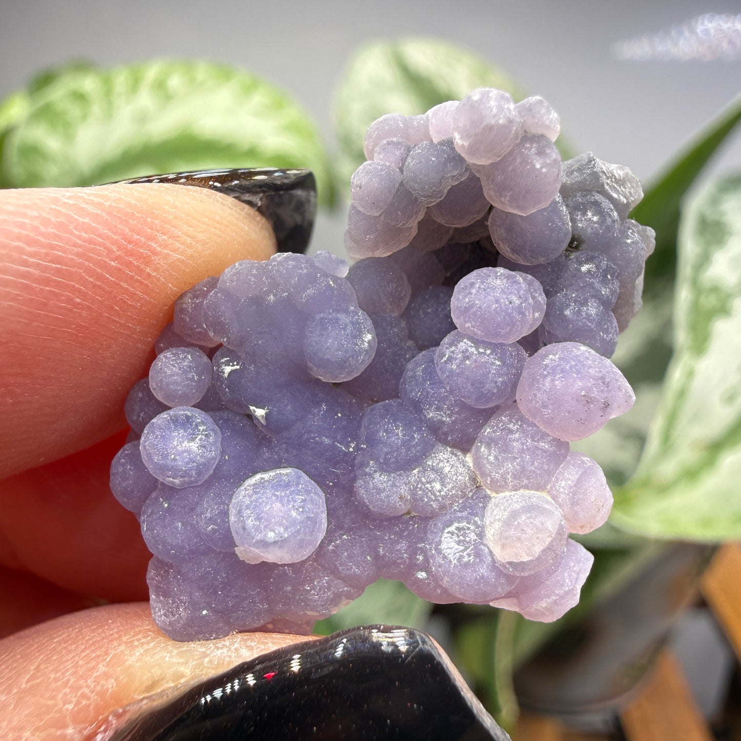 Grape Agate (Quartz var. Amethyst)- Mamuju Regency, West Sulawesi Province, Indonesia