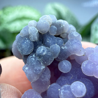 Grape Agate (Quartz var. Amethyst)- Mamuju Regency, West Sulawesi Province, Indonesia