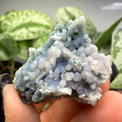 Grape Agate (Quartz var. Amethyst)- Mamuju Regency, West Sulawesi Province, Indonesia