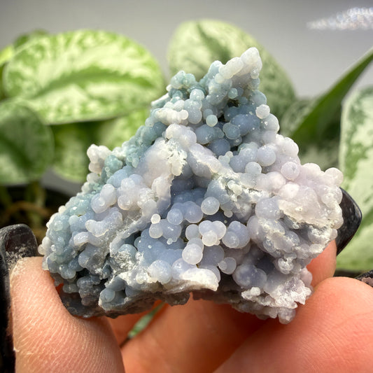 Grape Agate (Quartz var. Amethyst)- Mamuju Regency, West Sulawesi Province, Indonesia