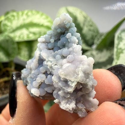 Grape Agate (Quartz var. Amethyst)- Mamuju Regency, West Sulawesi Province, Indonesia