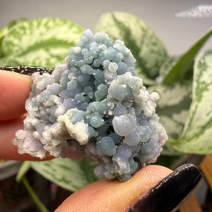 Grape Agate (Quartz var. Amethyst)- Mamuju Regency, West Sulawesi Province, Indonesia