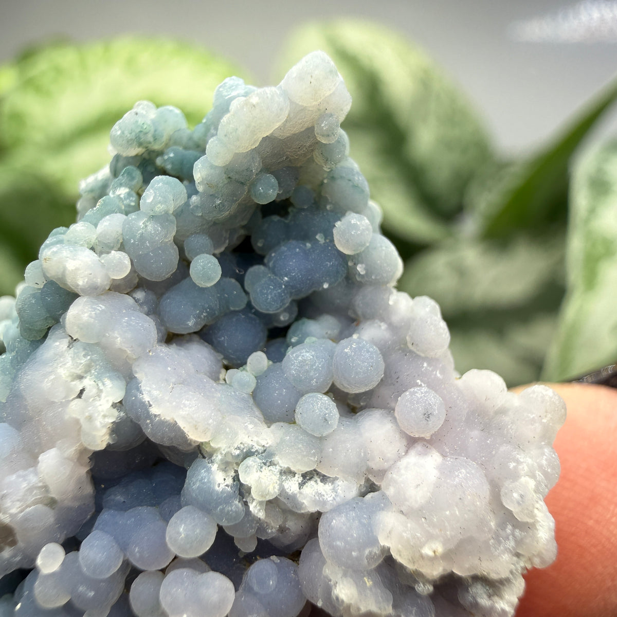 Grape Agate (Quartz var. Amethyst)- Mamuju Regency, West Sulawesi Province, Indonesia