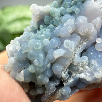 Grape Agate (Quartz var. Amethyst)- Mamuju Regency, West Sulawesi Province, Indonesia