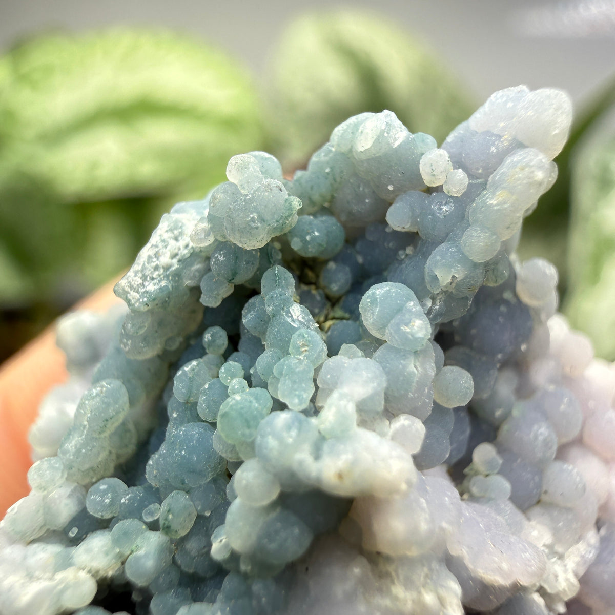 Grape Agate (Quartz var. Amethyst)- Mamuju Regency, West Sulawesi Province, Indonesia