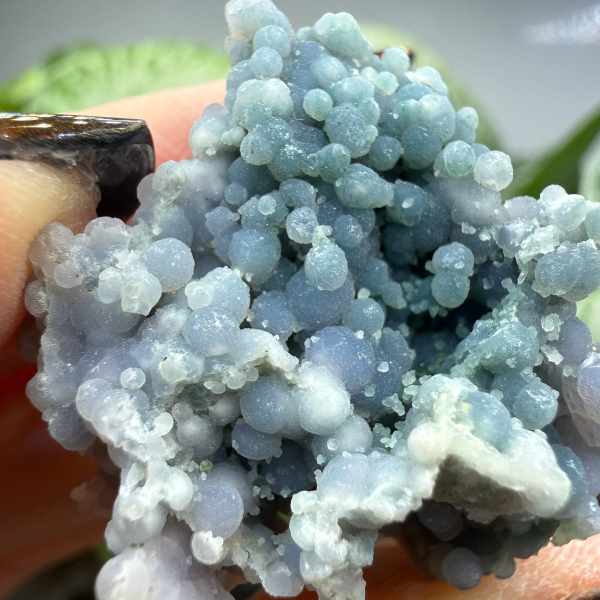 Grape Agate (Quartz var. Amethyst)- Mamuju Regency, West Sulawesi Province, Indonesia