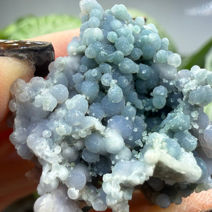 Grape Agate (Quartz var. Amethyst)- Mamuju Regency, West Sulawesi Province, Indonesia
