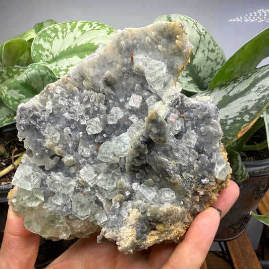 Fluorite, Chalcedony- Gobi Desert, Mongolia