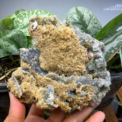 Fluorite, Chalcedony- Gobi Desert, Mongolia