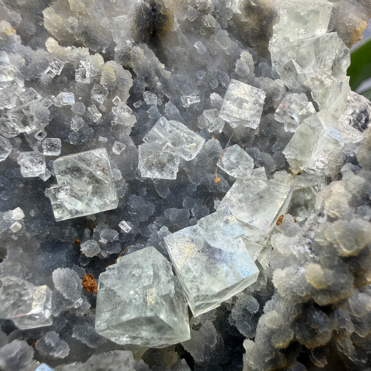 Fluorite, Chalcedony- Gobi Desert, Mongolia
