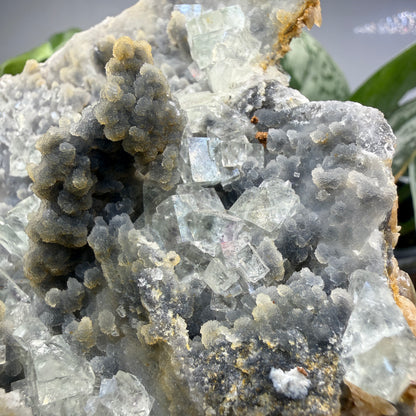Fluorite, Chalcedony- Gobi Desert, Mongolia