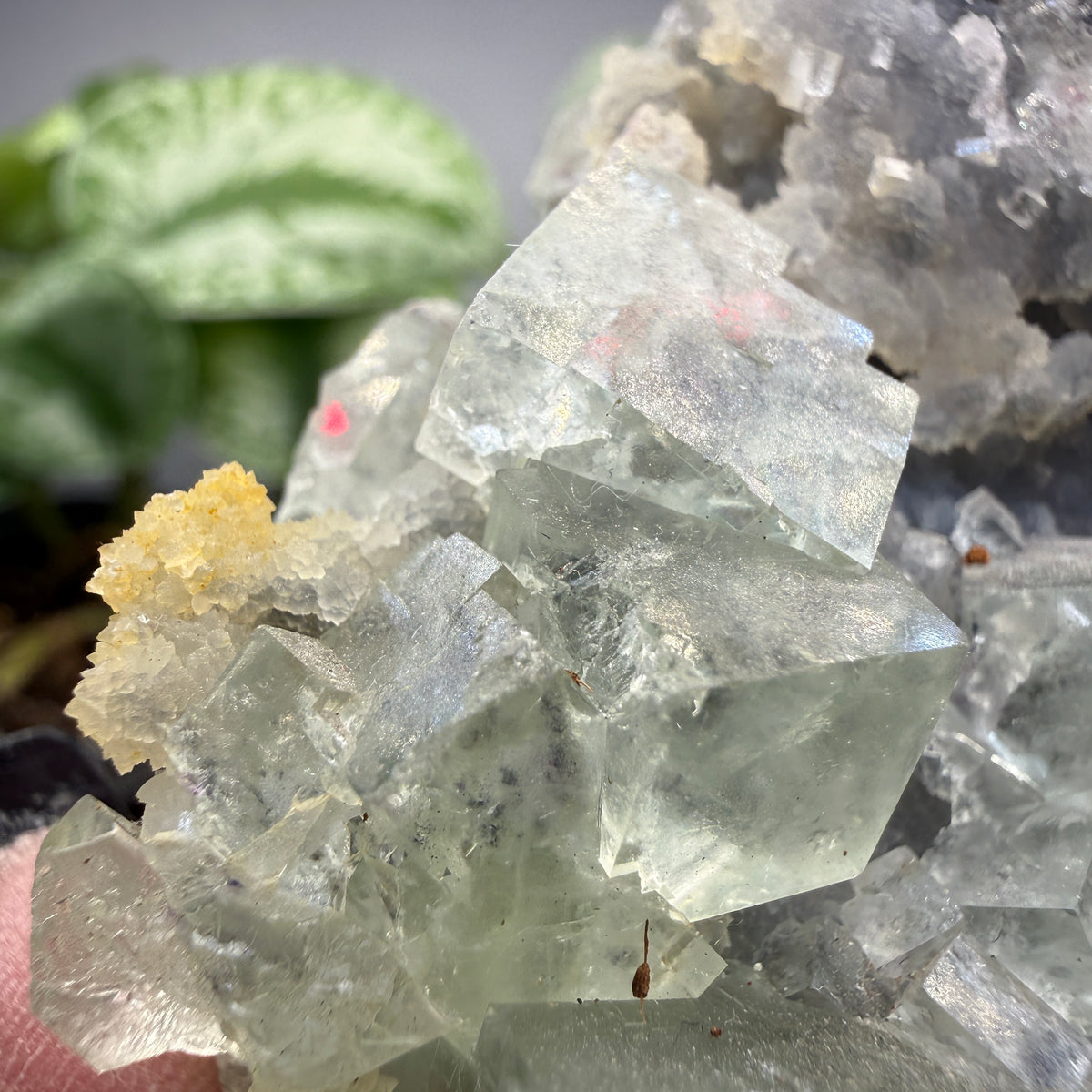Fluorite, Chalcedony- Gobi Desert, Mongolia