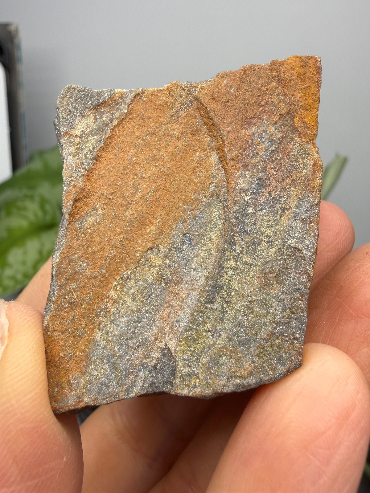 Sandstone (Banded)- Custer, Custer County, South Dakota, USA