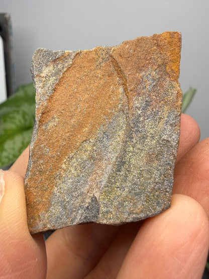 Sandstone (Banded)- Custer, Custer County, South Dakota, USA