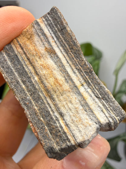 Sandstone (Banded)- Custer, Custer County, South Dakota, USA