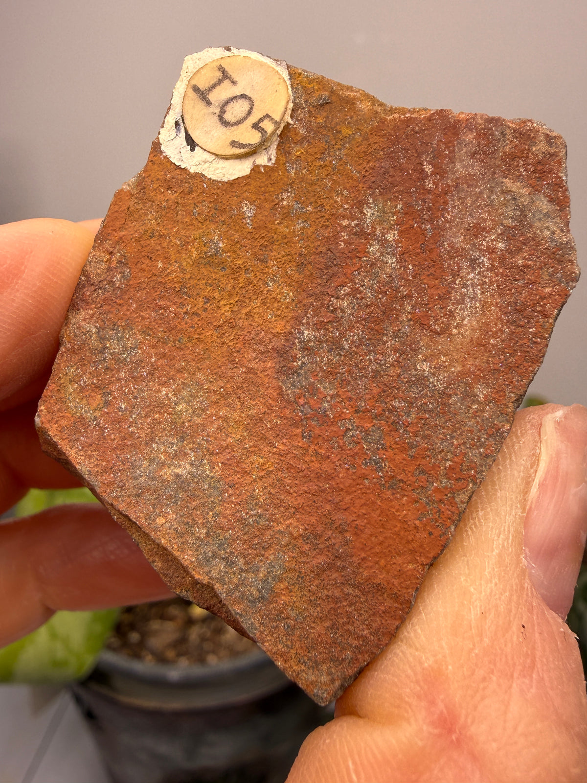 Sandstone (Banded)- Custer, Custer County, South Dakota, USA