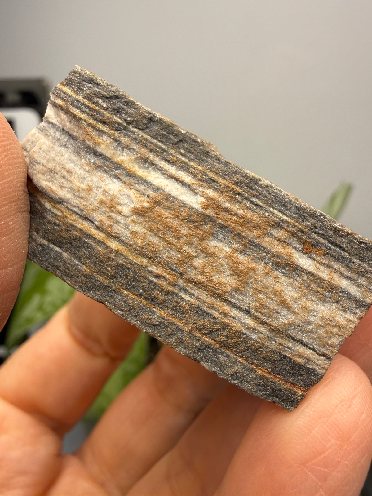 Sandstone (Banded)- Custer, Custer County, South Dakota, USA