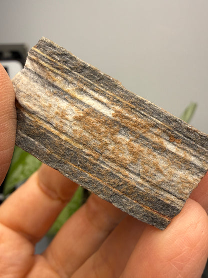 Sandstone (Banded)- Custer, Custer County, South Dakota, USA