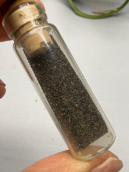 Cassiterite (Stream Tin)- South Dakota, USA