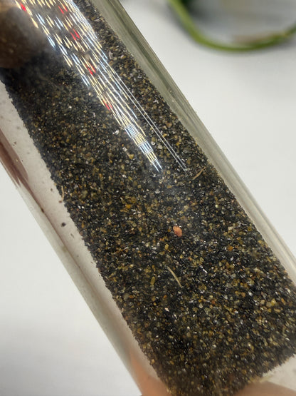 Cassiterite (Stream Tin)- South Dakota, USA