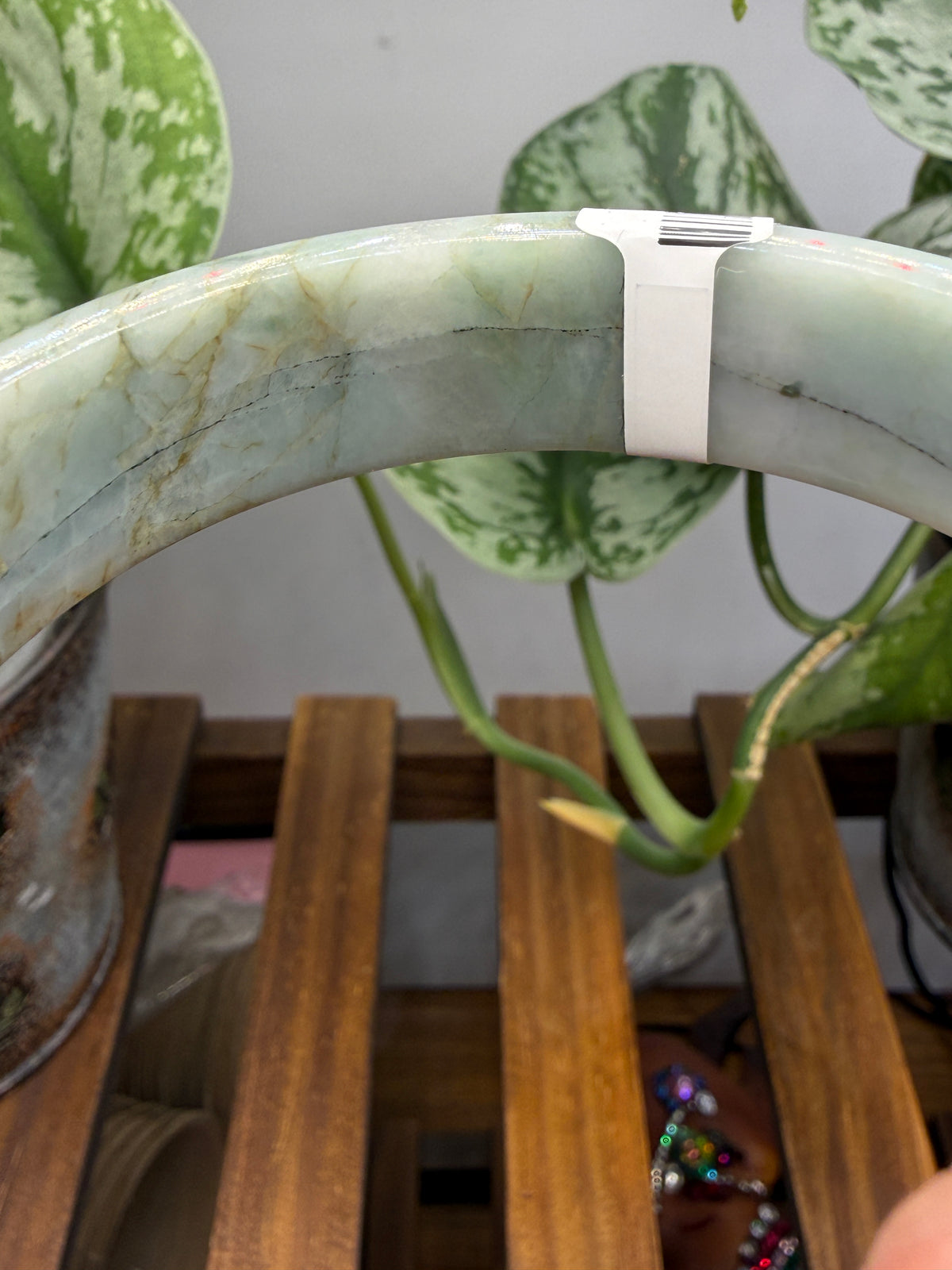 Burmese Jade Bangle – 14mm Wide – 63mm Diameter (Medium Plus)