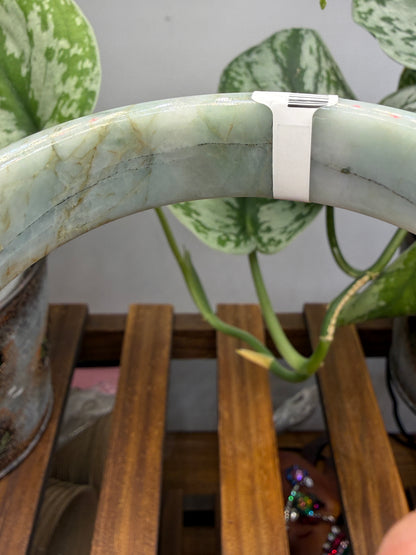Burmese Jade Bangle – 14mm Wide – 63mm Diameter (Medium Plus)