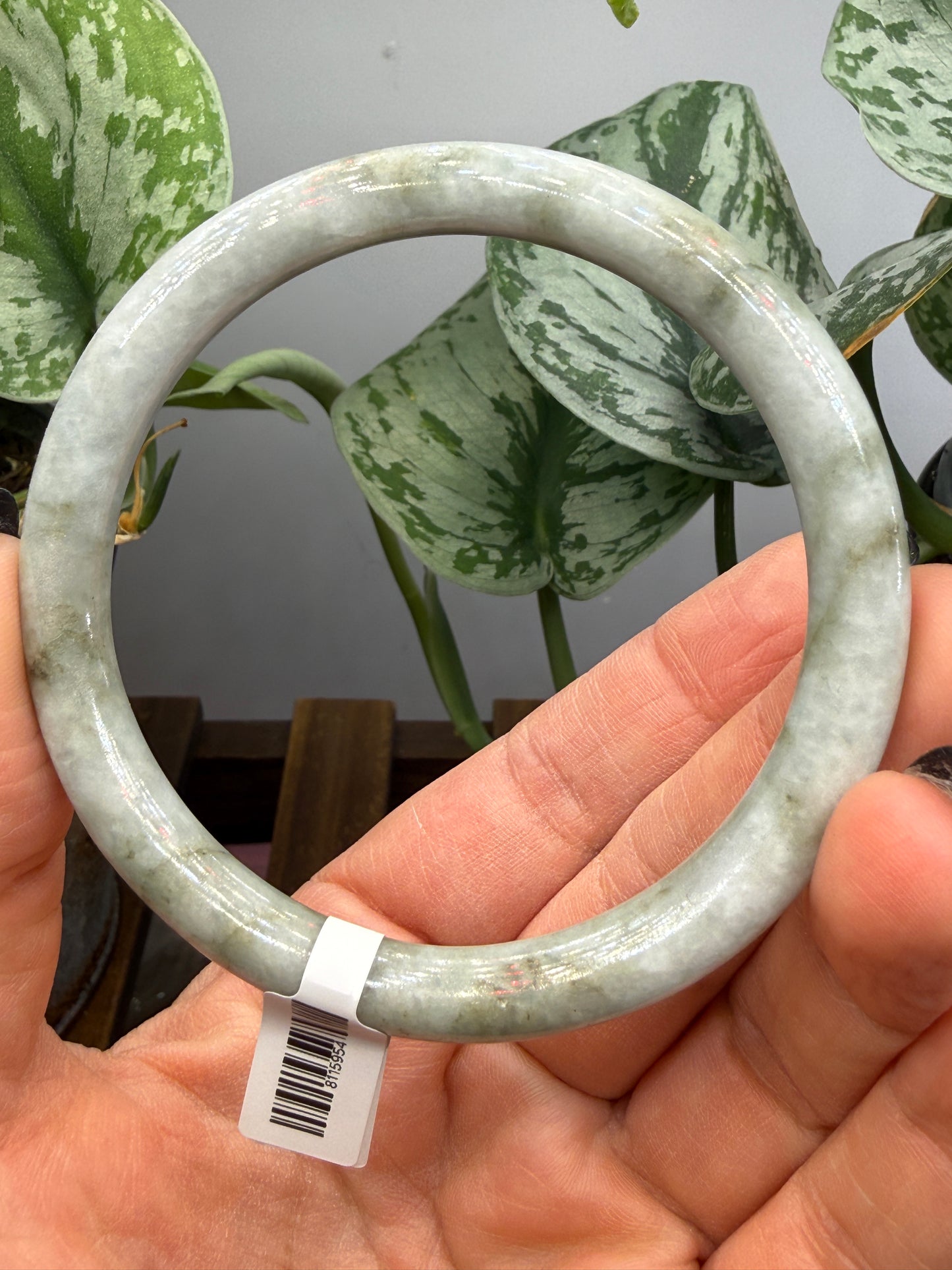 Burmese Jade Bangle – 8mm Wide – 62mm Diameter (Medium/Medium Plus)