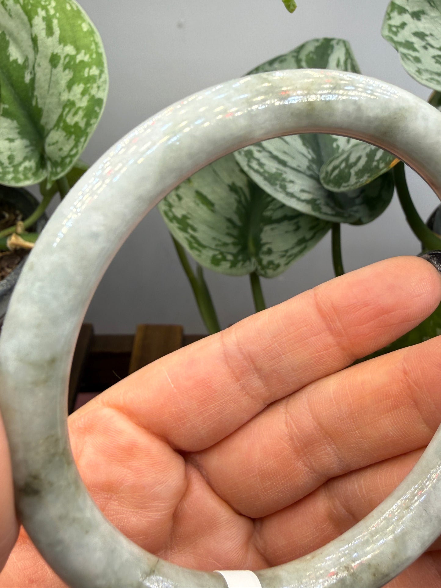 Burmese Jade Bangle – 8mm Wide – 62mm Diameter (Medium/Medium Plus)