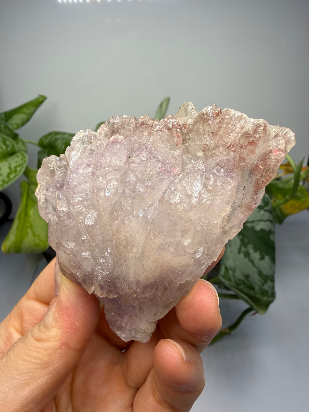 Amethyst Flower (Quartz), Calcite, Celadonite- Iraí, Alto Uruguai Region, Rio Grande do Sul, Brazil