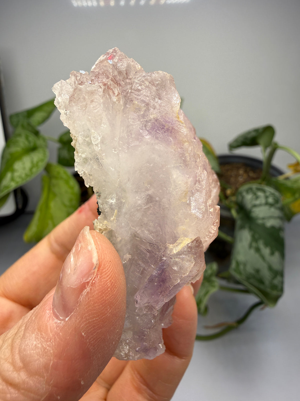Amethyst Flower (Quartz), Calcite, Celadonite- Iraí, Alto Uruguai Region, Rio Grande do Sul, Brazil