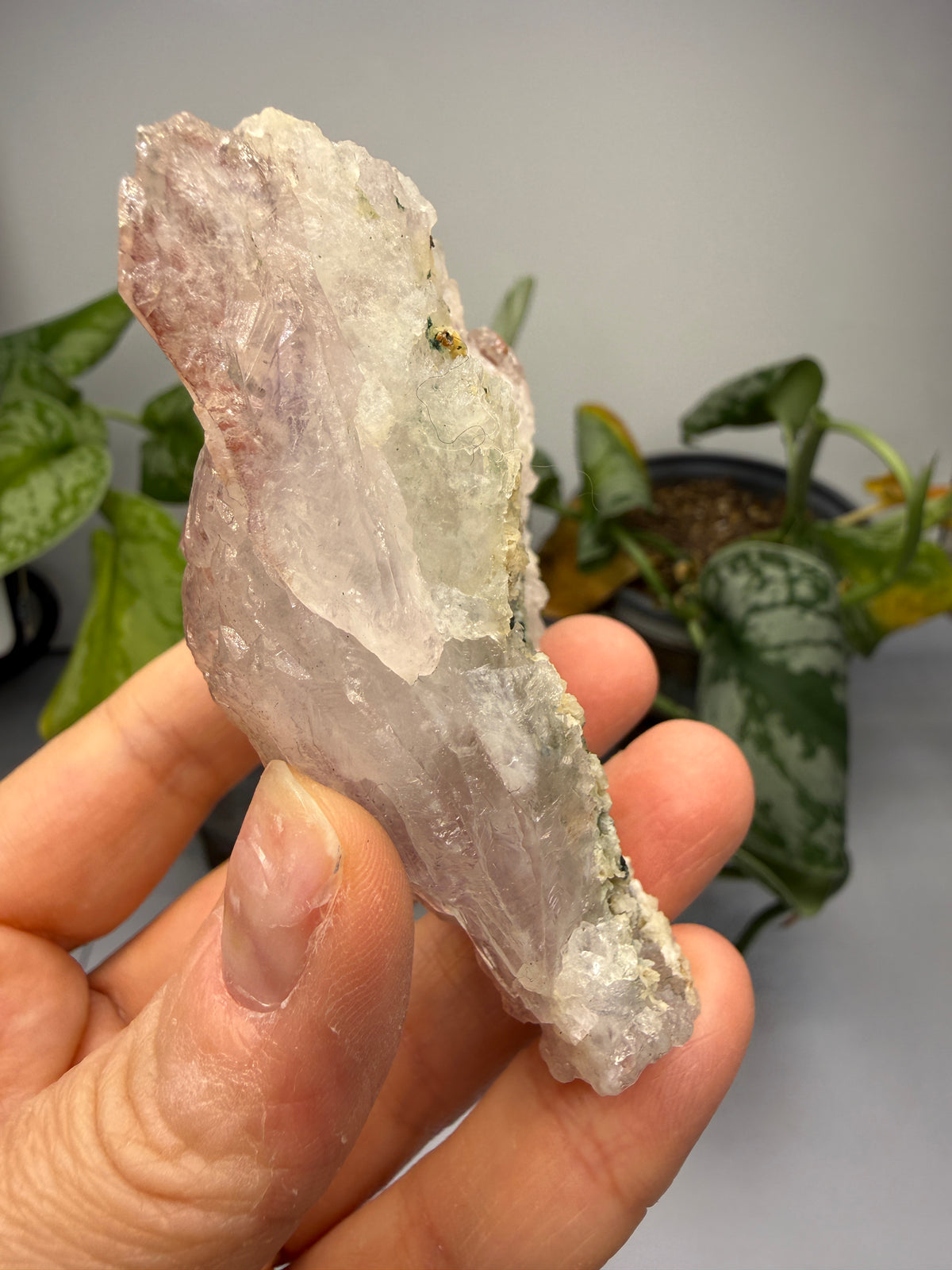 Amethyst Flower (Quartz), Calcite, Celadonite- Iraí, Alto Uruguai Region, Rio Grande do Sul, Brazil