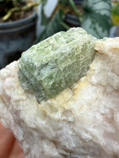 Diopside on Calcite- Kokcha Valley, Badakhshan Province, Afghanistan