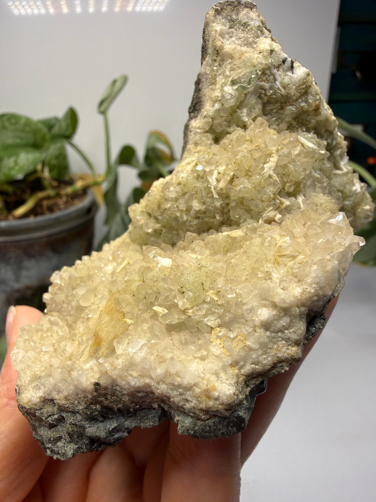 Thaumasite on Prehnite- Paterson, Passaic County, New Jersey, USA