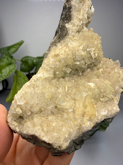 Thaumasite on Prehnite- Paterson, Passaic County, New Jersey, USA