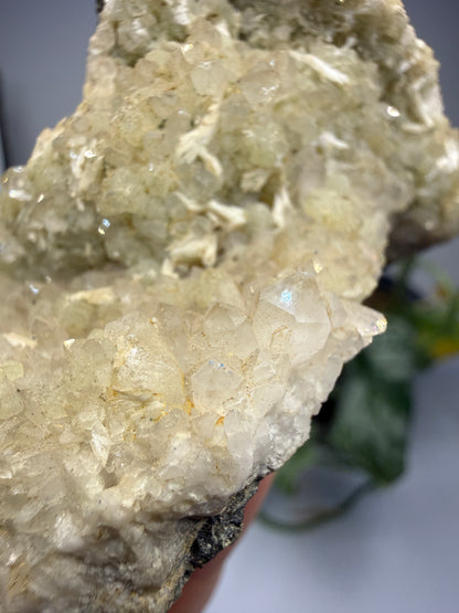 Thaumasite on Prehnite- Paterson, Passaic County, New Jersey, USA