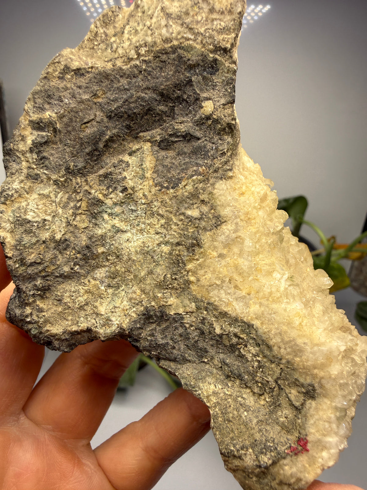 Thaumasite on Prehnite- Paterson, Passaic County, New Jersey, USA