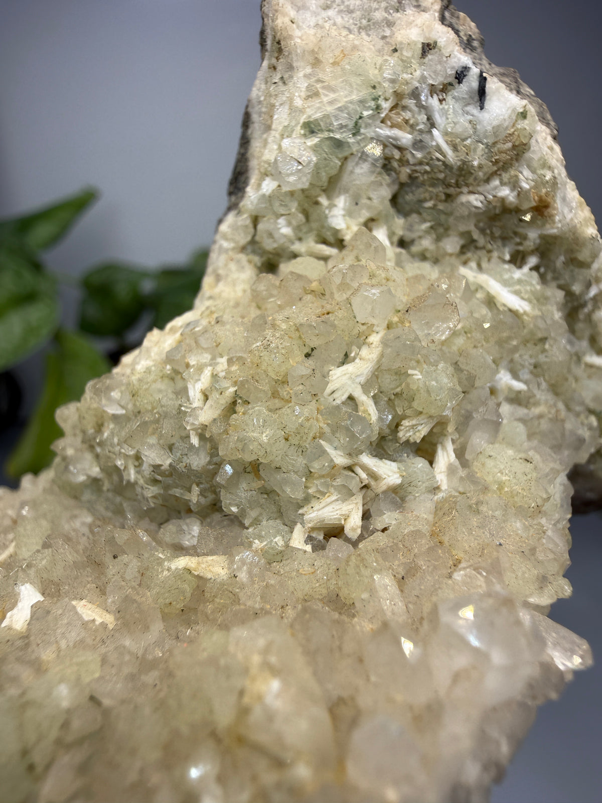 Thaumasite on Prehnite- Paterson, Passaic County, New Jersey, USA