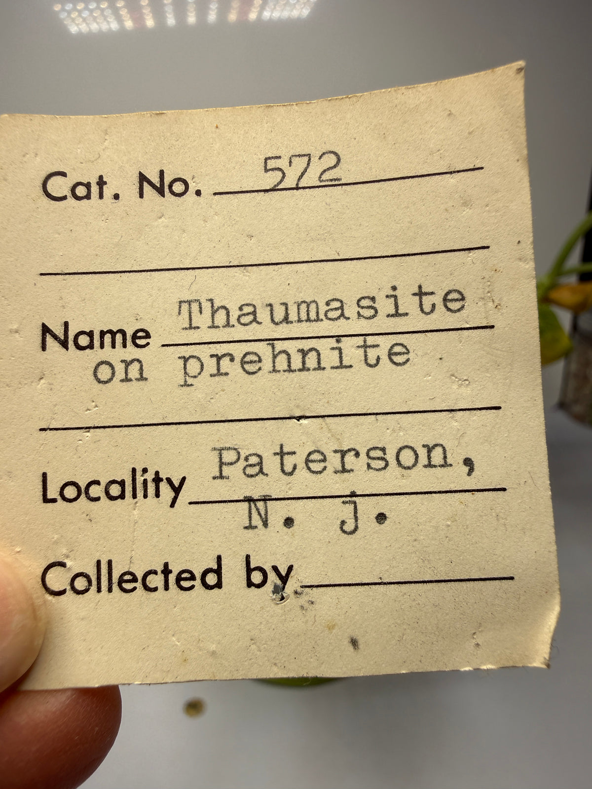 Thaumasite on Prehnite- Paterson, Passaic County, New Jersey, USA
