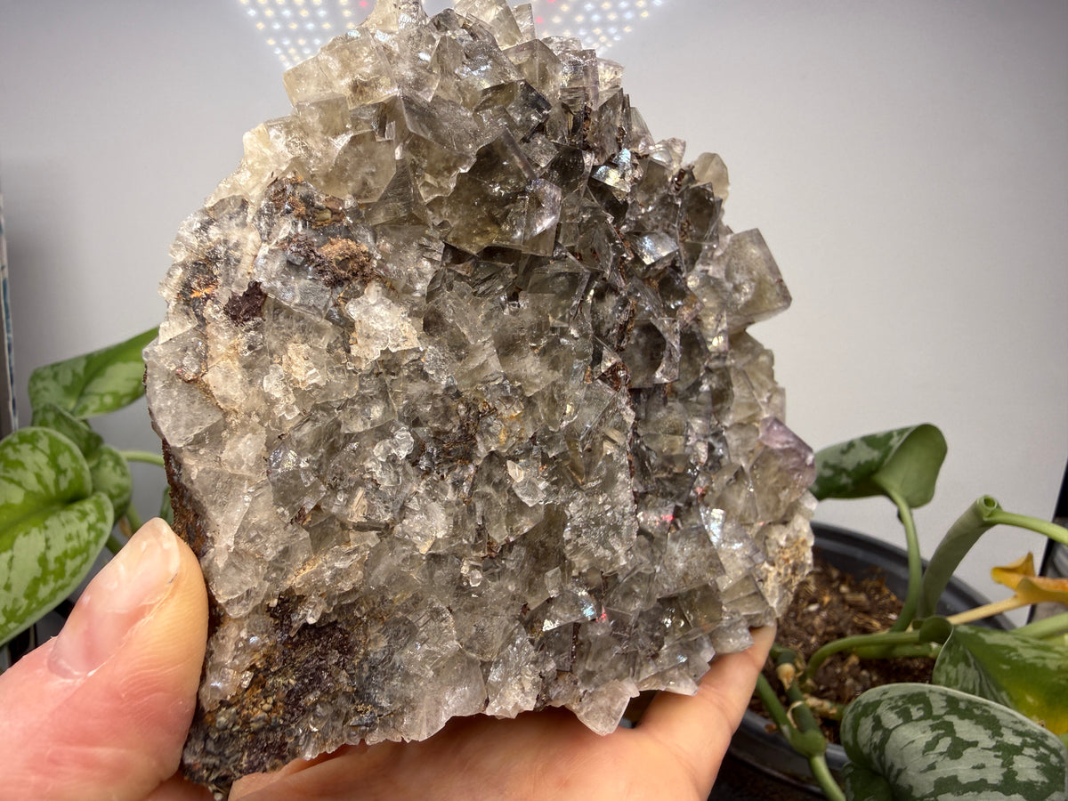 Fluorite- Funky February Pocket, Greenlaws Mine, Daddry Shield, Weardale, County Durham, England