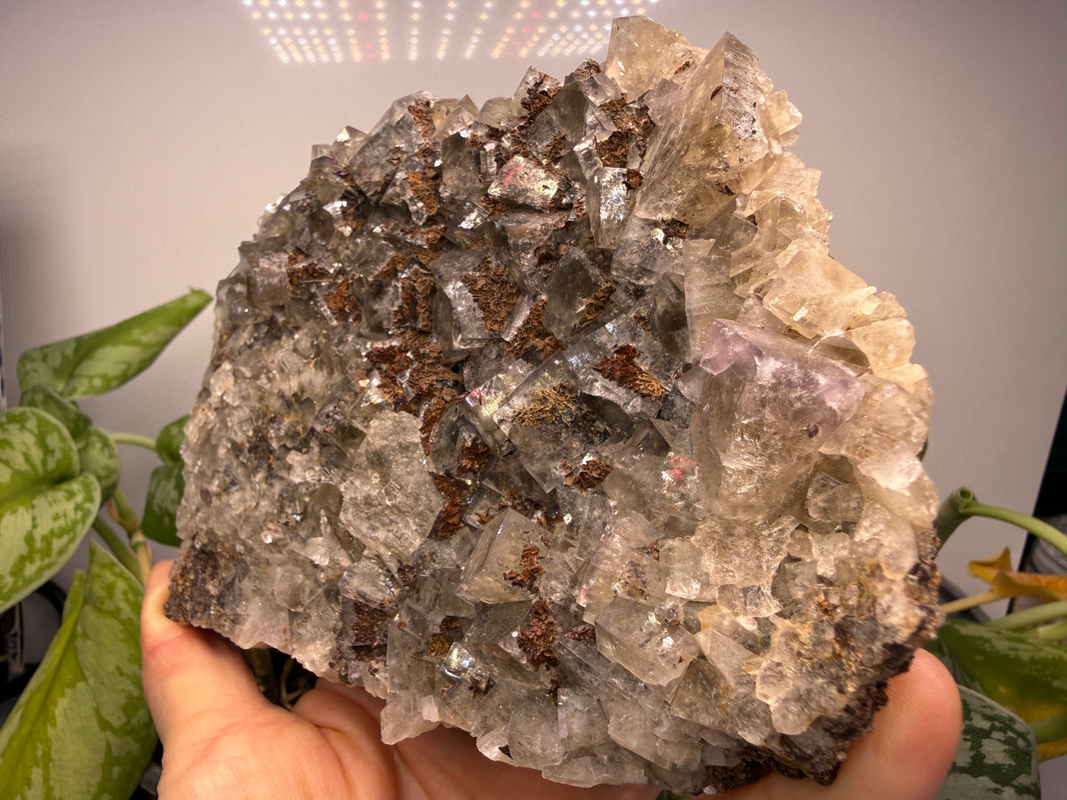 Fluorite- Funky February Pocket, Greenlaws Mine, Daddry Shield, Weardale, County Durham, England