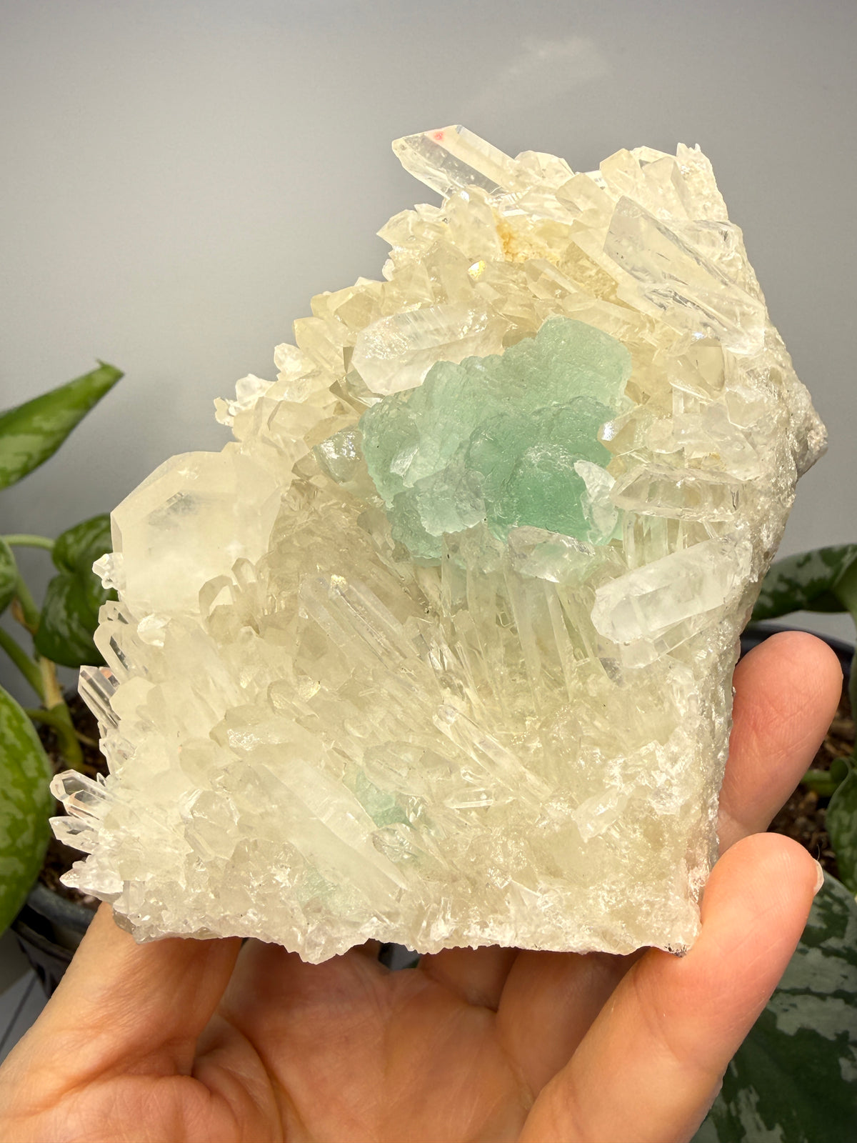 Fluorite on Quartz- Pasto Bueno Mining District, Pampas District, Pallasca Province, Áncash, Peru