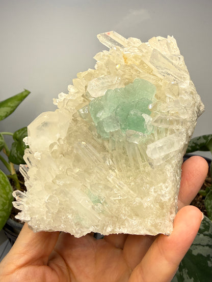 Fluorite on Quartz- Pasto Bueno Mining District, Pampas District, Pallasca Province, Áncash, Peru